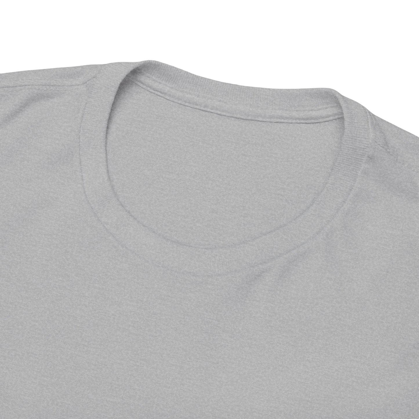 She Believed She Could/ Unisex Heavy Cotton Tee